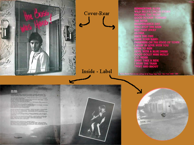 Bruce Springsteen - BOSS WAS HERE (THE)
